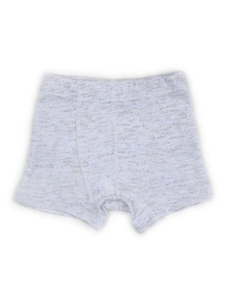 Трусы для мальчика Мальчикам Takro Серый меланж Микс (фото 1)