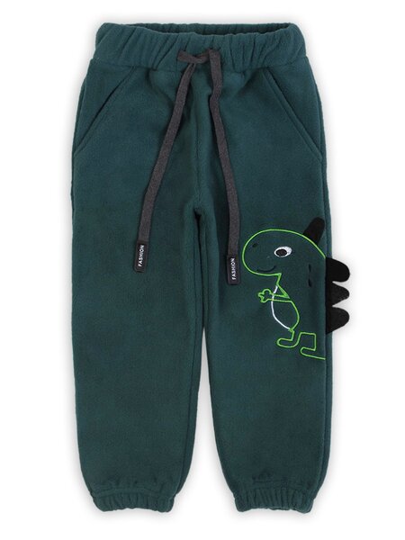 Штаны для мальчика Мальчикам Bonito Зелёный тёмный Динозавр (фото 1)