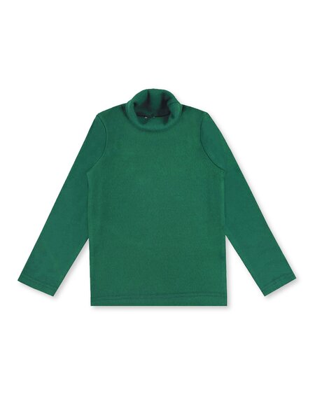 Водолазка для мальчика Мальчикам Bonito Зелёный тёмный Без рисунка (фото 1)