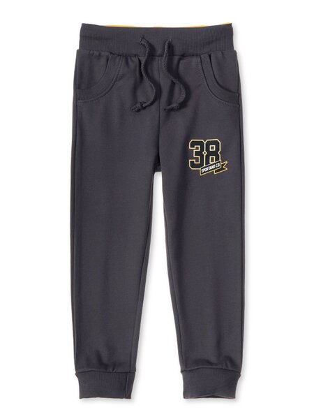 Штаны для мальчика Мальчикам Весёлый супер далматинец Графит Цифры (фото 1)