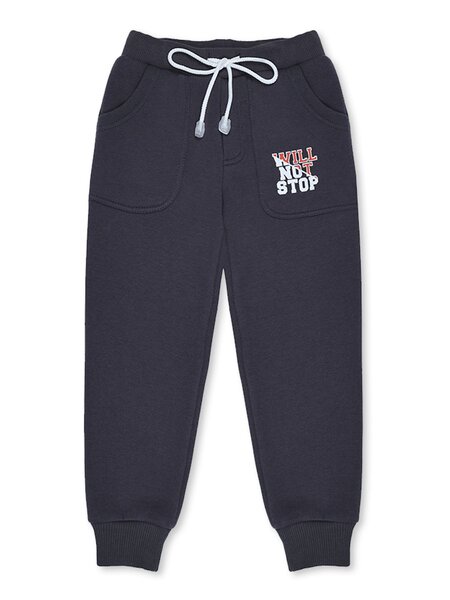 Брюки Мальчикам Bonito Графит Надпись (фото 1)