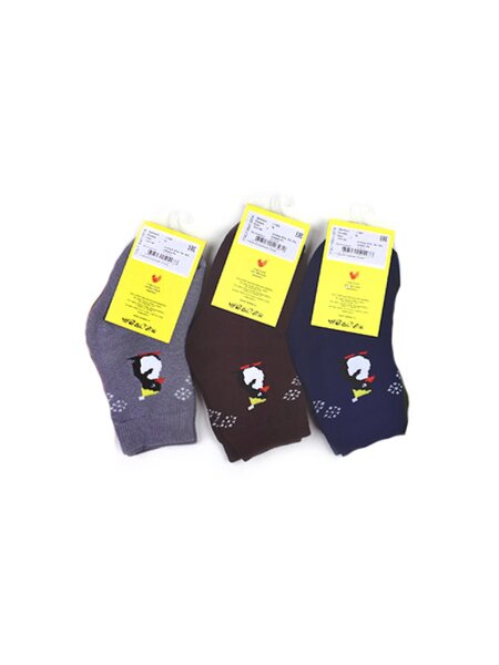 Носки для мальчика Мальчикам Россия (фото 1)