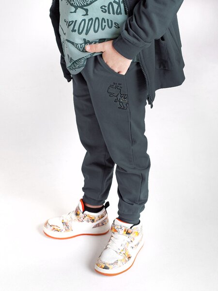 Брюки Мальчикам Takro Серый тёмный Динозавр (фото 1)
