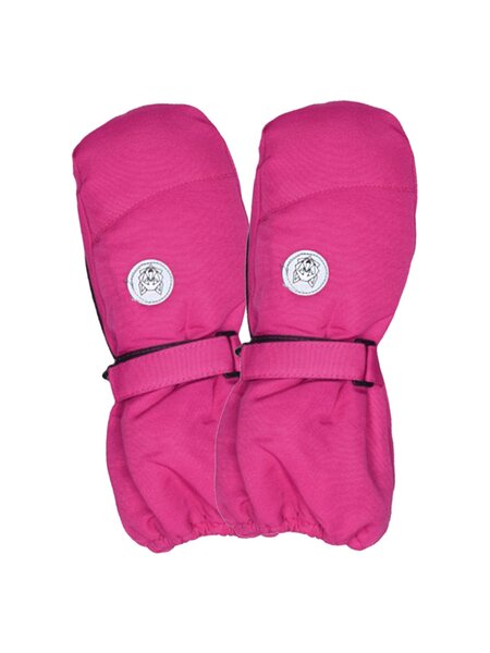 Варежки Девочкам Россия Микс Нашивка (фото 1)