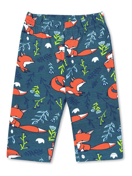 Бриджи Девочкам Bonito Бирюзовый тёмный Лисички (фото 1)