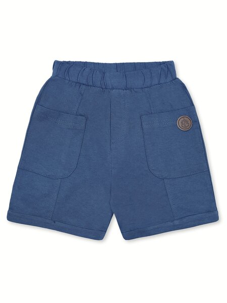 Шорты Мальчикам Bonito Серо-синий Эмблема (фото 1)