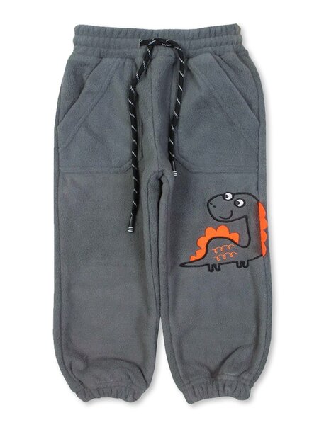 Брюки Мальчикам Bonito Серый Динозавр (фото 1)