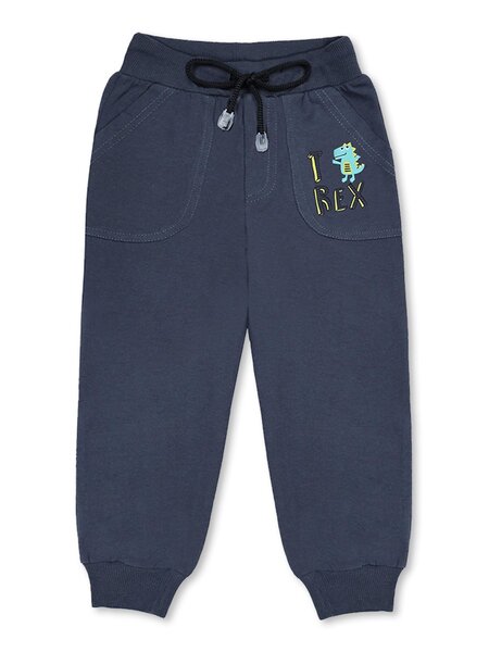 Брюки Мальчикам Bonito Серый тёмный Динозавр (фото 1)