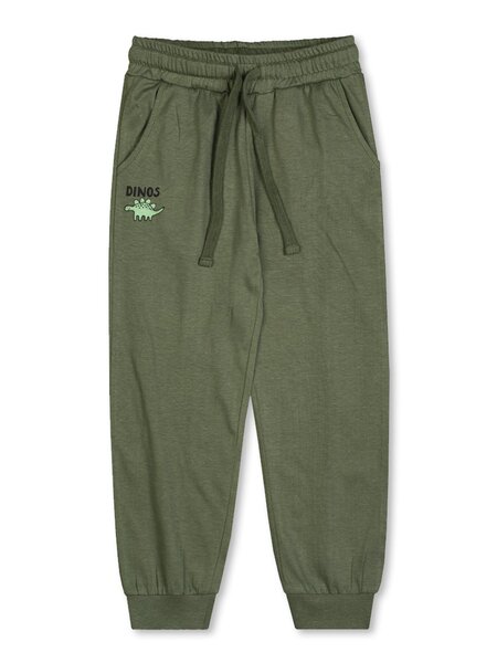 Брюки Мальчикам Takro Хаки тёмный Динозавр (фото 1)