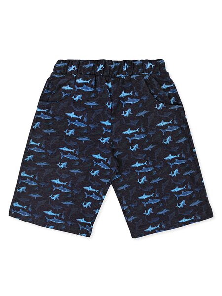 Шорты Мальчикам Юлала Чёрный; Голубой Акулы (фото 1)