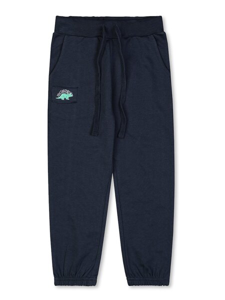 Брюки Мальчикам Takro Чернильный Динозавр (фото 1)