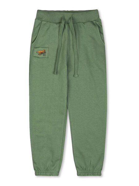 Брюки Мальчикам Takro Хаки Динозавр (фото 1)