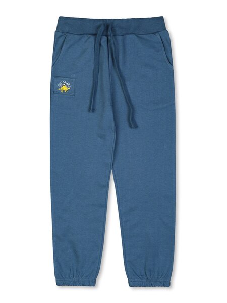 Брюки Мальчикам Takro Серо-синий Динозавр (фото 1)