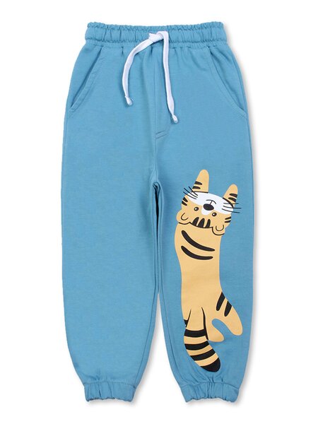 Брюки Мальчикам Bonito Серо-голубой Тигр (фото 1)