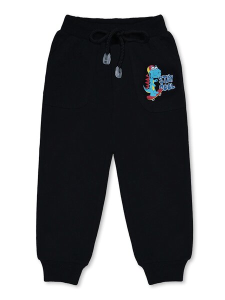 Брюки Мальчикам Bonito Чёрный Динозавр (фото 1)