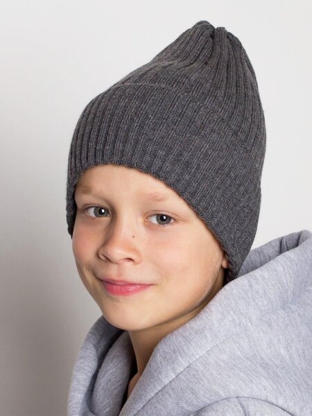Шапка Мальчикам Россия Серый тёмный Без рисунка (фото 1)