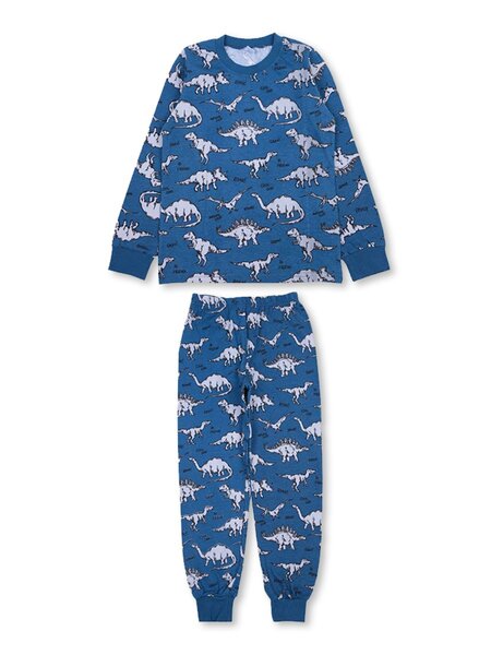 Пижама Мальчикам Bonito Серо-синий Динозавры (фото 1)