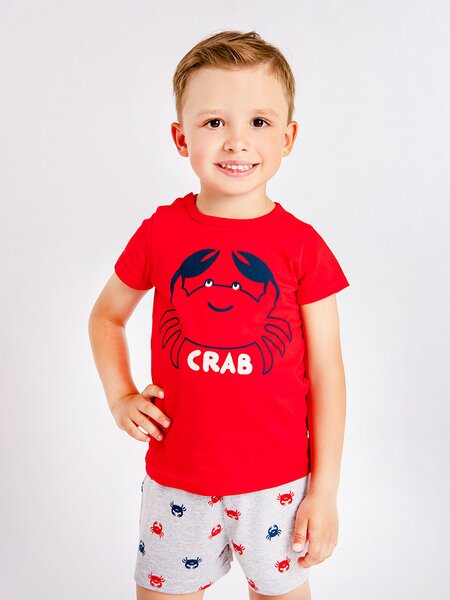 Комплект Мальчикам Юлала Красный; Серый меланж Краб (фото 1)