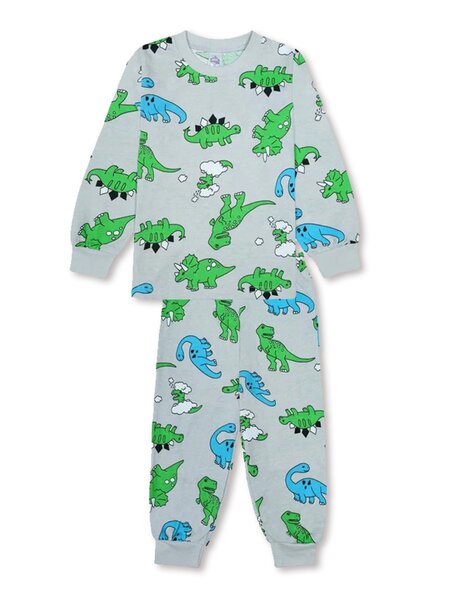 Пижама Мальчикам Bonito Серый Динозавры (фото 1)