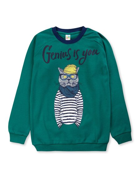 Джемпер Мальчикам Baby style Зелёный тёмный Котик (фото 1)