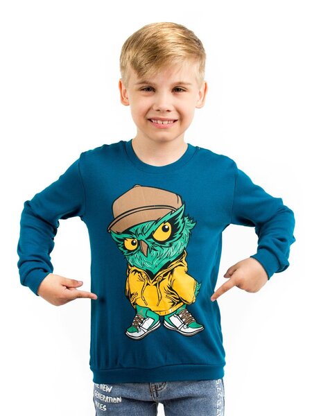 Джемпер Мальчикам Baby style Синий Сова (фото 1)