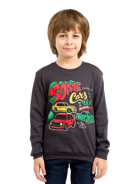 Джемпер Мальчикам Baby style Графит Машины (фото 1)