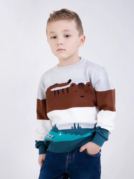 Джемпер Мальчикам Bonito Серый светлый Зверёк (фото 1)