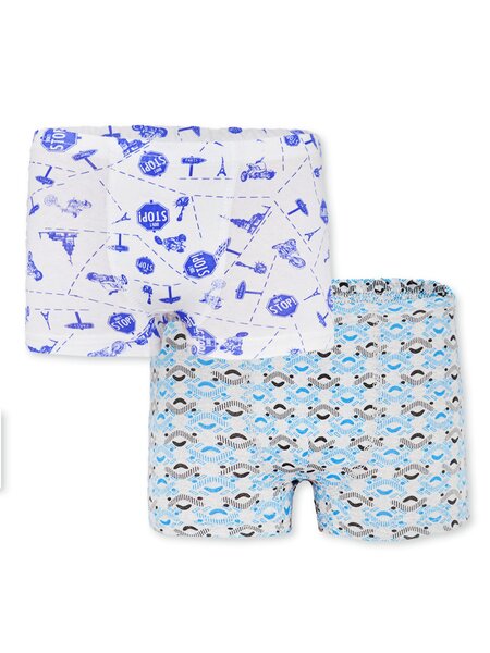 Трусы Мальчикам Россия Микс Микс (фото 1)