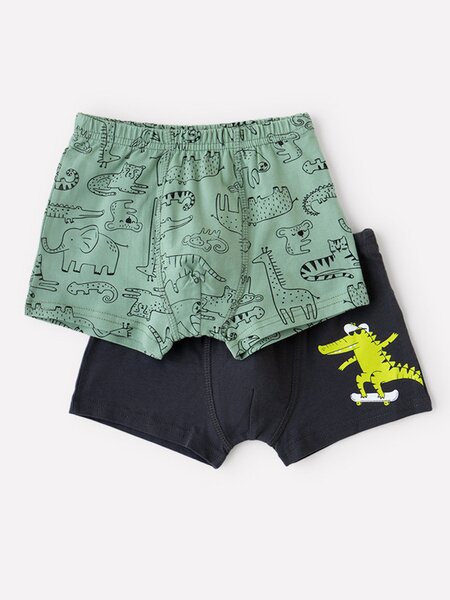 Набор трусов Мальчикам Crockid Хаки; Графит Звери (фото 1)