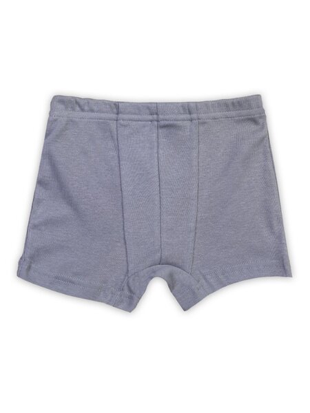 Трусы-боксёры Мальчикам Takro Серый Без рисунка (фото 1)