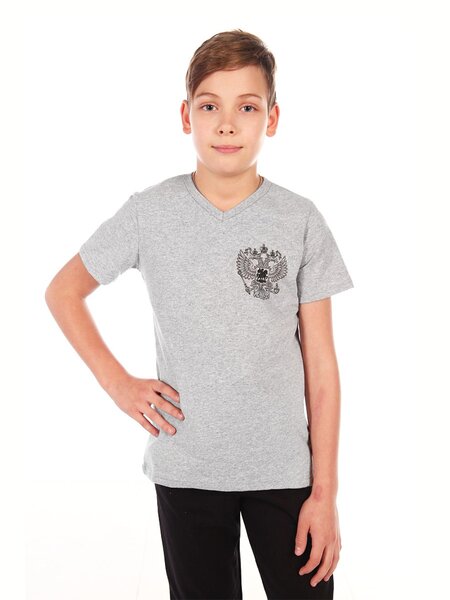 Футболка Мальчикам Россия Серый Эмблема (фото 1)