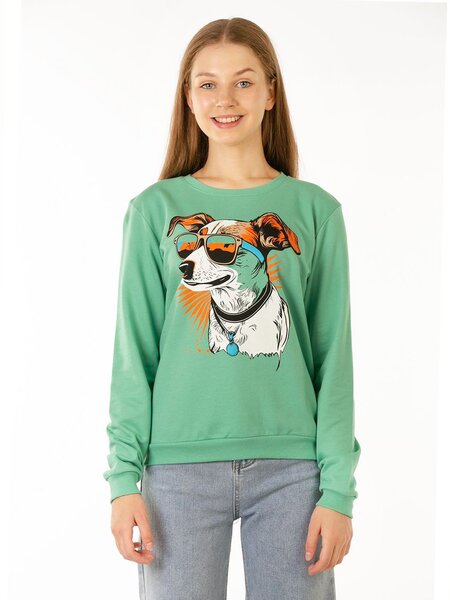 Джемпер Девочкам Baby style Зелёный светлый Собачка (фото 1)