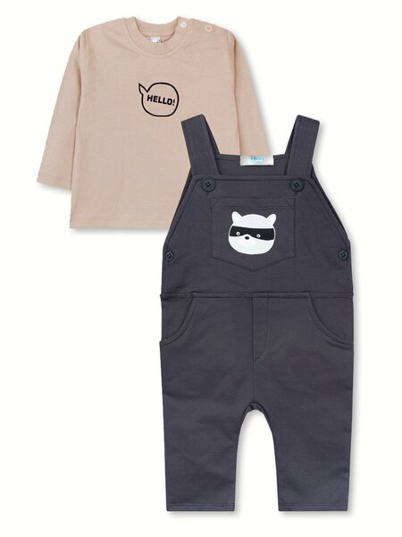 Комплект Новорождённым Takro Бежевый; Серый тёмный Енот (фото 1)