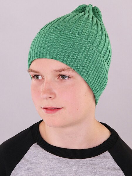 Шапка Мальчикам Россия Микс Без рисунка (фото 1)