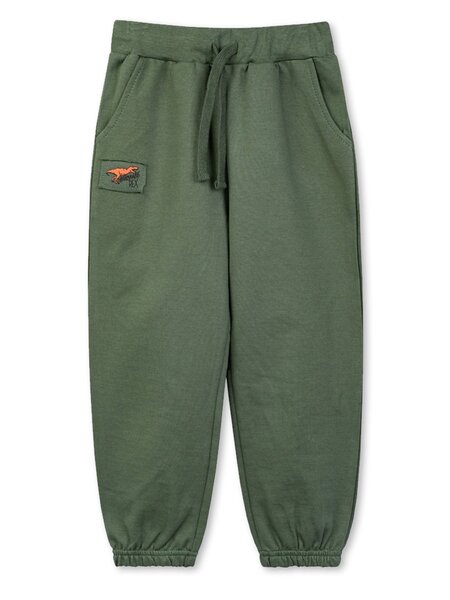 Брюки Мальчикам Takro Хаки Динозавр (фото 1)