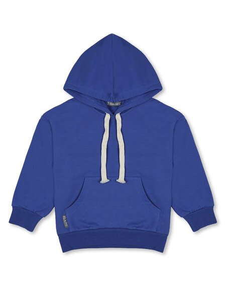 Толстовка Мальчикам Bonito Синий тёмный Без рисунка (фото 1)