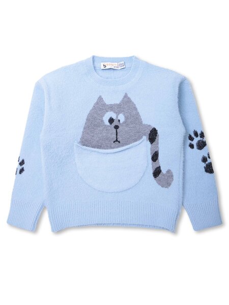 Джемпер Мальчикам Bonito Голубой Котик (фото 1)
