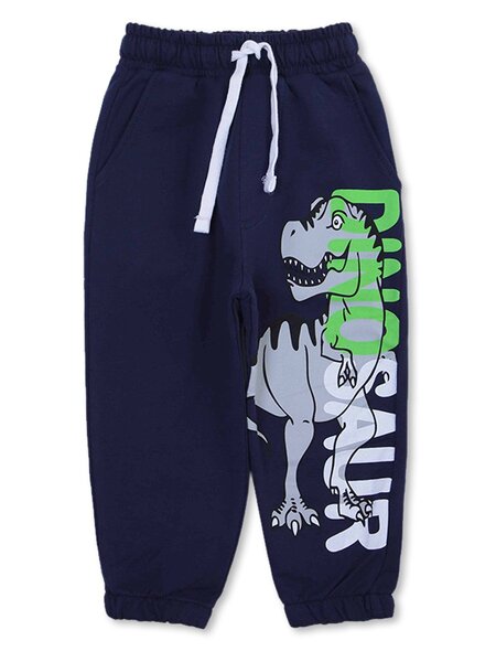Брюки Мальчикам Bonito Чернильный Динозавр (фото 1)