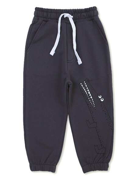 Брюки Мальчикам Bonito Графит Крокодил (фото 1)