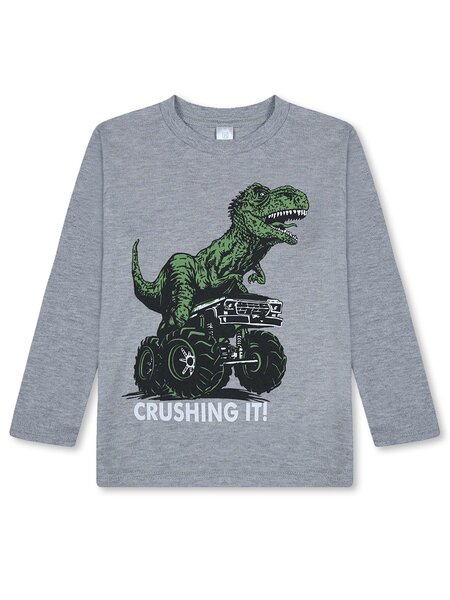 Лонгслив Мальчикам Bonito Серый меланж Динозавр (фото 1)