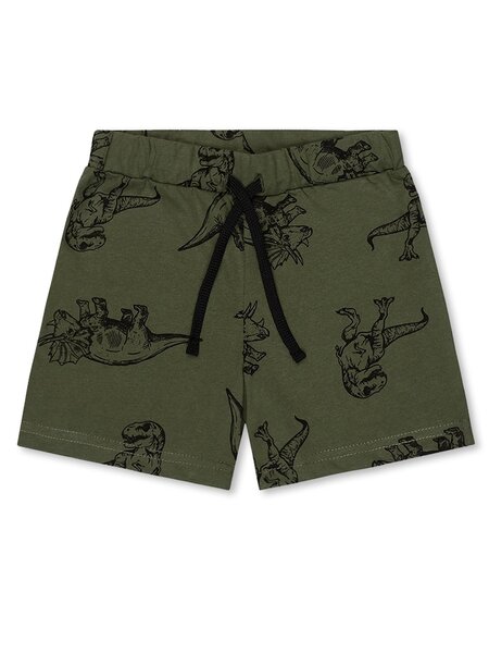 Шорты Мальчикам Юлала Хаки тёмный Динозавры (фото 1)
