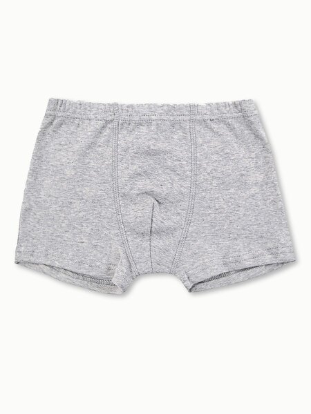 Трусы-боксеры Мальчикам Россия Серый меланж Без рисунка (фото 1)