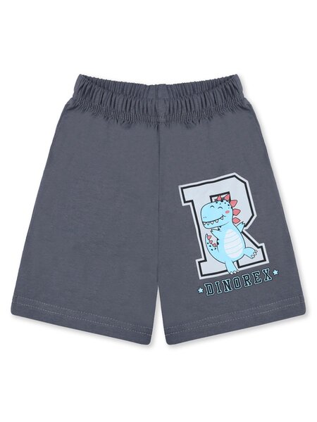 Шорты Мальчикам Bonito Серый Динозавр (фото 1)