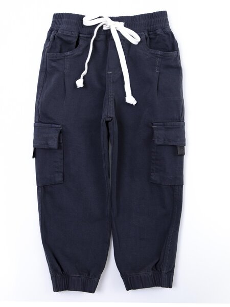 Брюки Мальчикам Bonito Чернильный Без рисунка (фото 1)