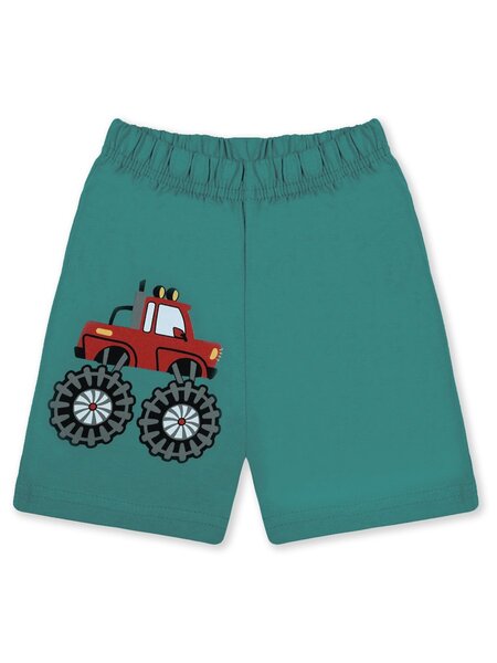 Шорты Мальчикам Bonito Изумрудный Машина (фото 1)