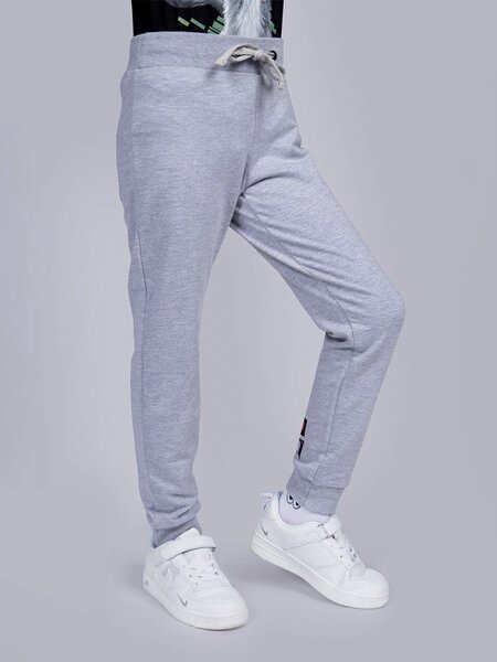 Брюки Мальчикам Россия Серый меланж Надпись (фото 1)