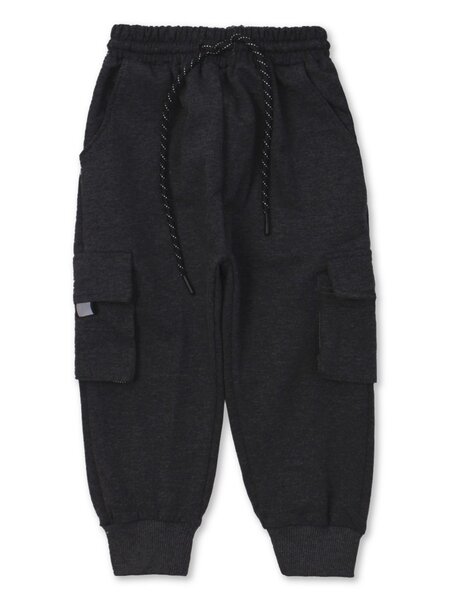 Брюки Мальчикам Bonito Серый тёмный меланж Надпись (фото 1)