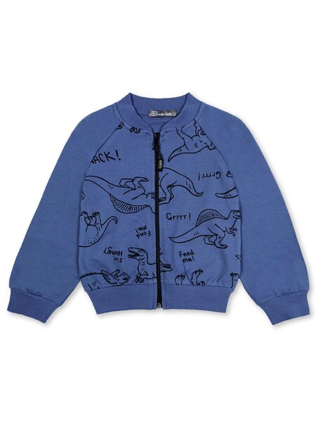 Толстовка Мальчикам Bonito Серо-синий Динозавры (фото 1)