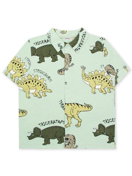 Рубашка Мальчикам Юлала Мятный тёмный Динозавры (фото 1)