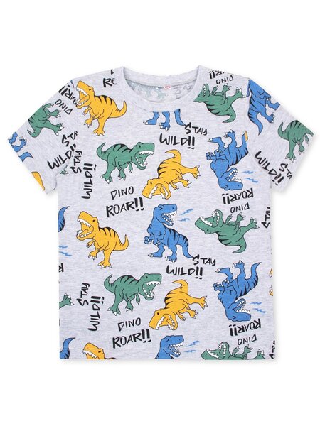 Футболка Мальчикам Юлала Серый меланж Динозавры (фото 1)